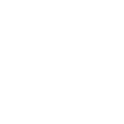 pro